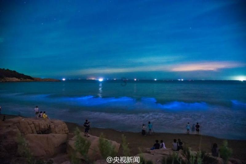 逃出无人荒岛