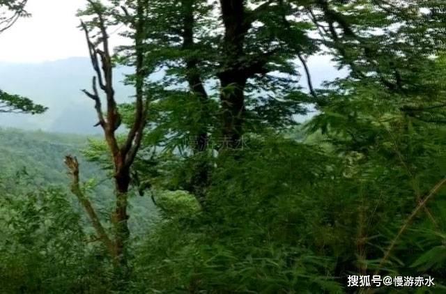 寡妇是什么年龄阶段？70岁以上失夫还是寡妇吗游戏画面