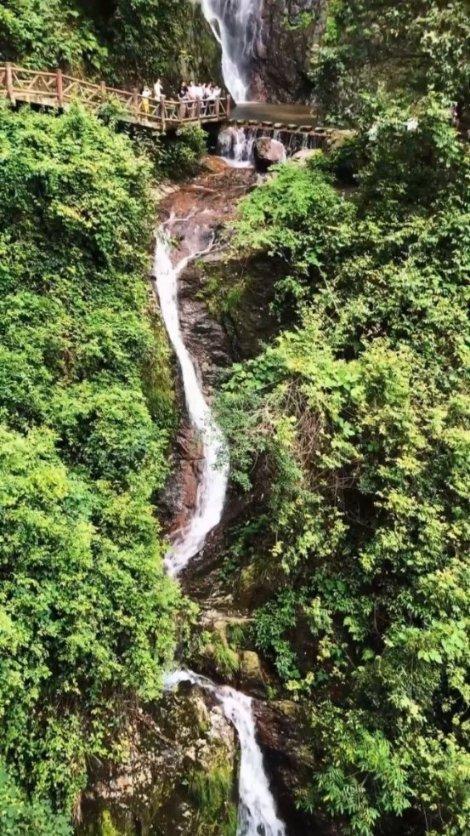 你好邻居
