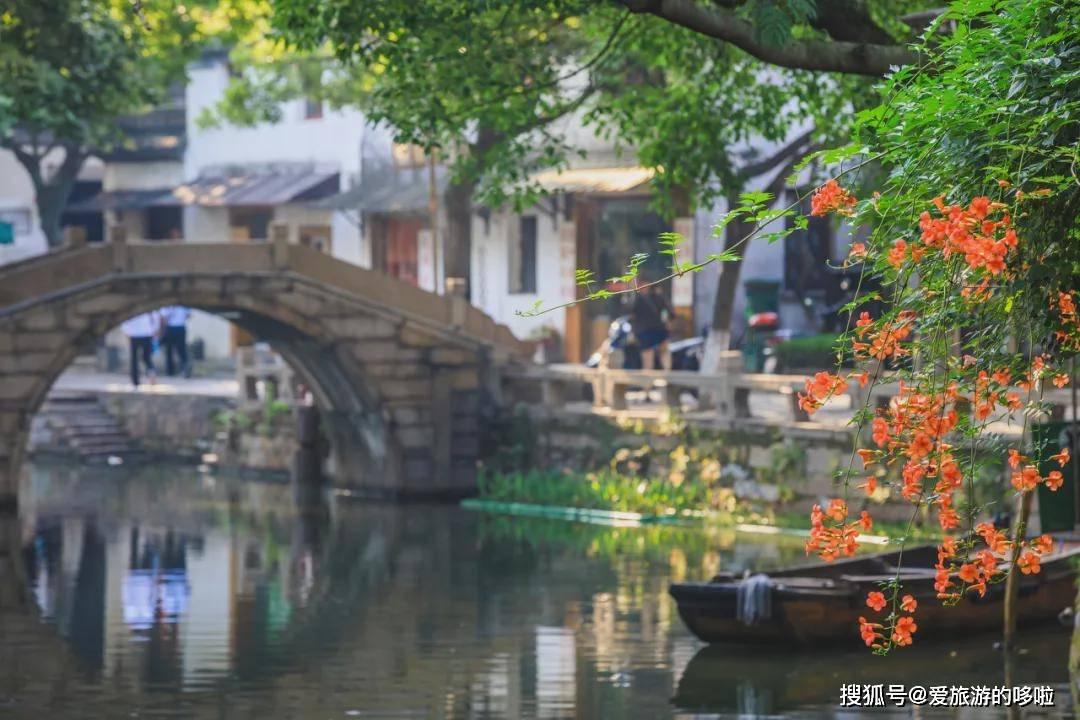 猫咪一天不拉屎正常么-专业问答类网站