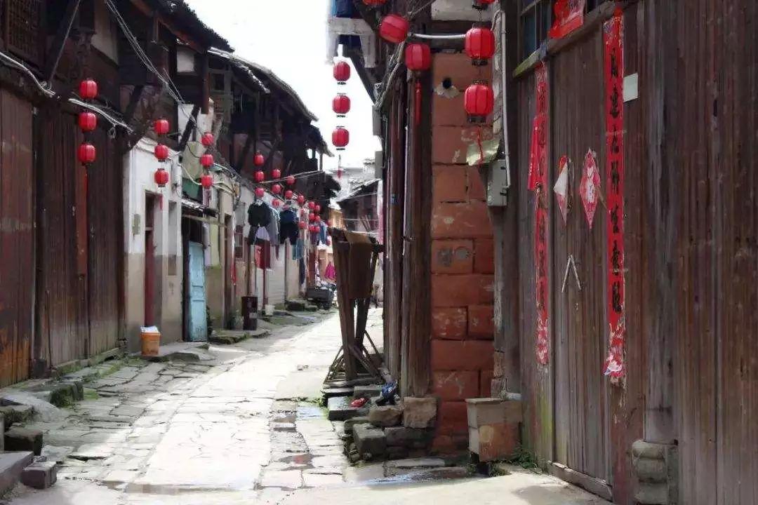 春雨直播app